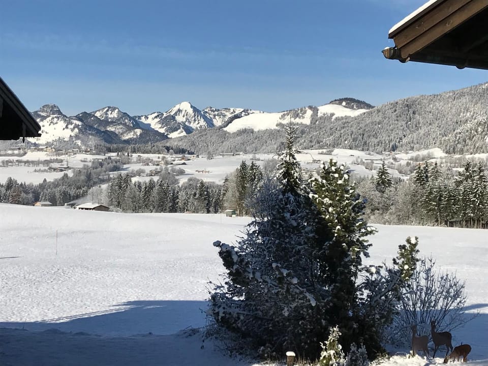 Mountain view
