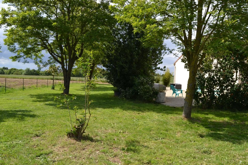 Natural landscape, Garden view