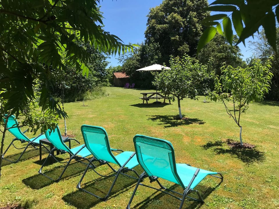 Natural landscape, Garden, Garden, Garden view, sunbed