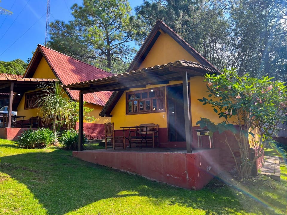 Property building, Garden view