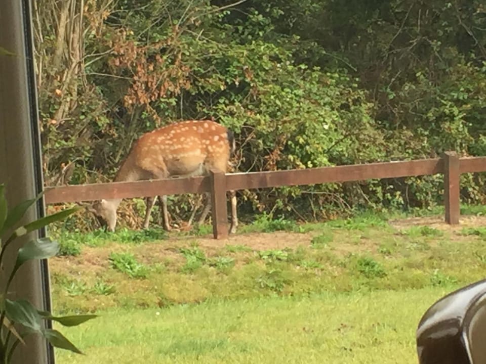 2 Mile Lodge Bed and Breakfast in County Kerry