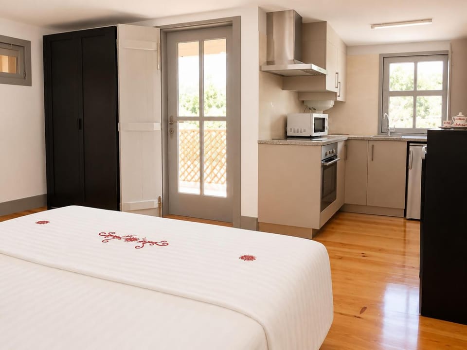 Kitchen or kitchenette, oven, stove