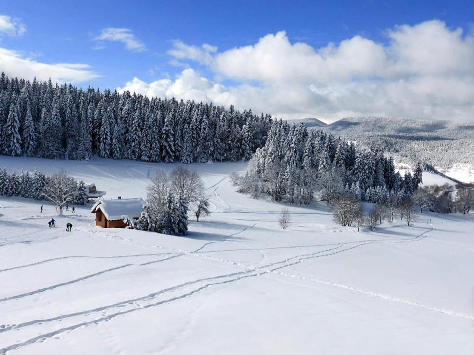 Day, Natural landscape, Winter, Skiing, On site
