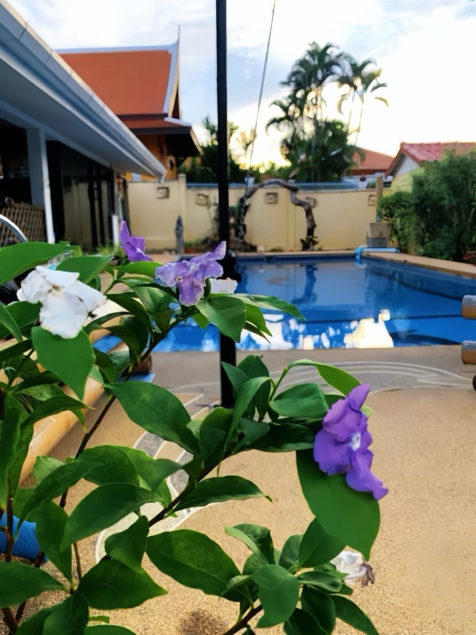 Pool view