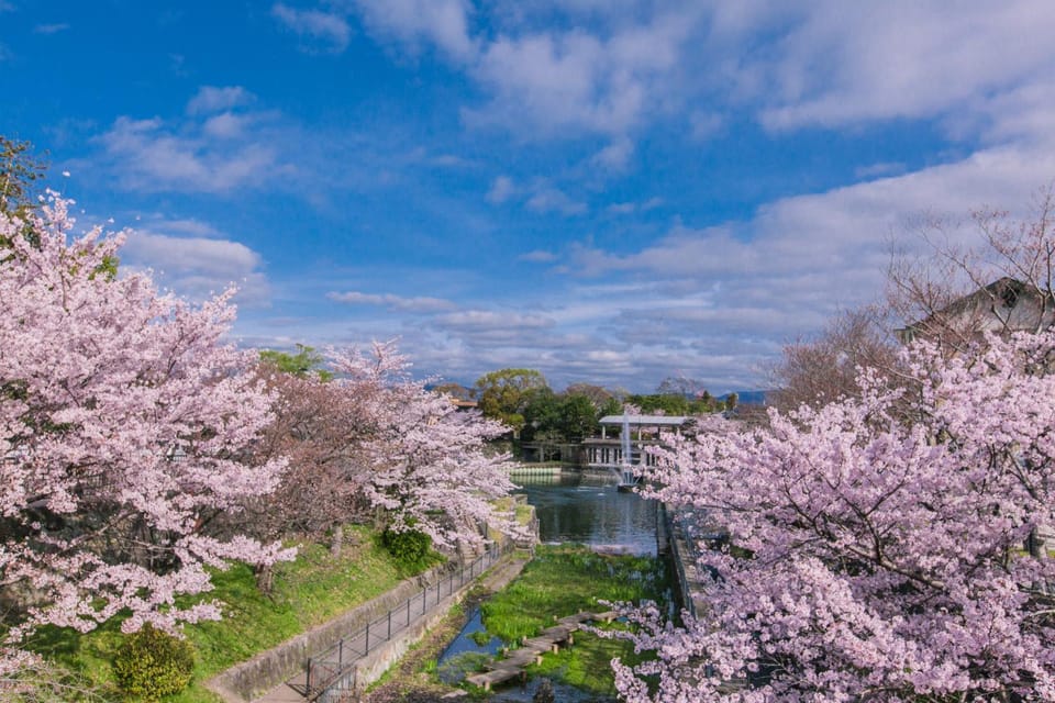 Nearby landmark, Spring, Natural landscape, Garden, City view, River view