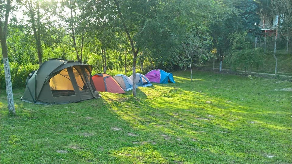 Mini-Camp SKELICA Campground/ 
RV Resort in Vojvodina