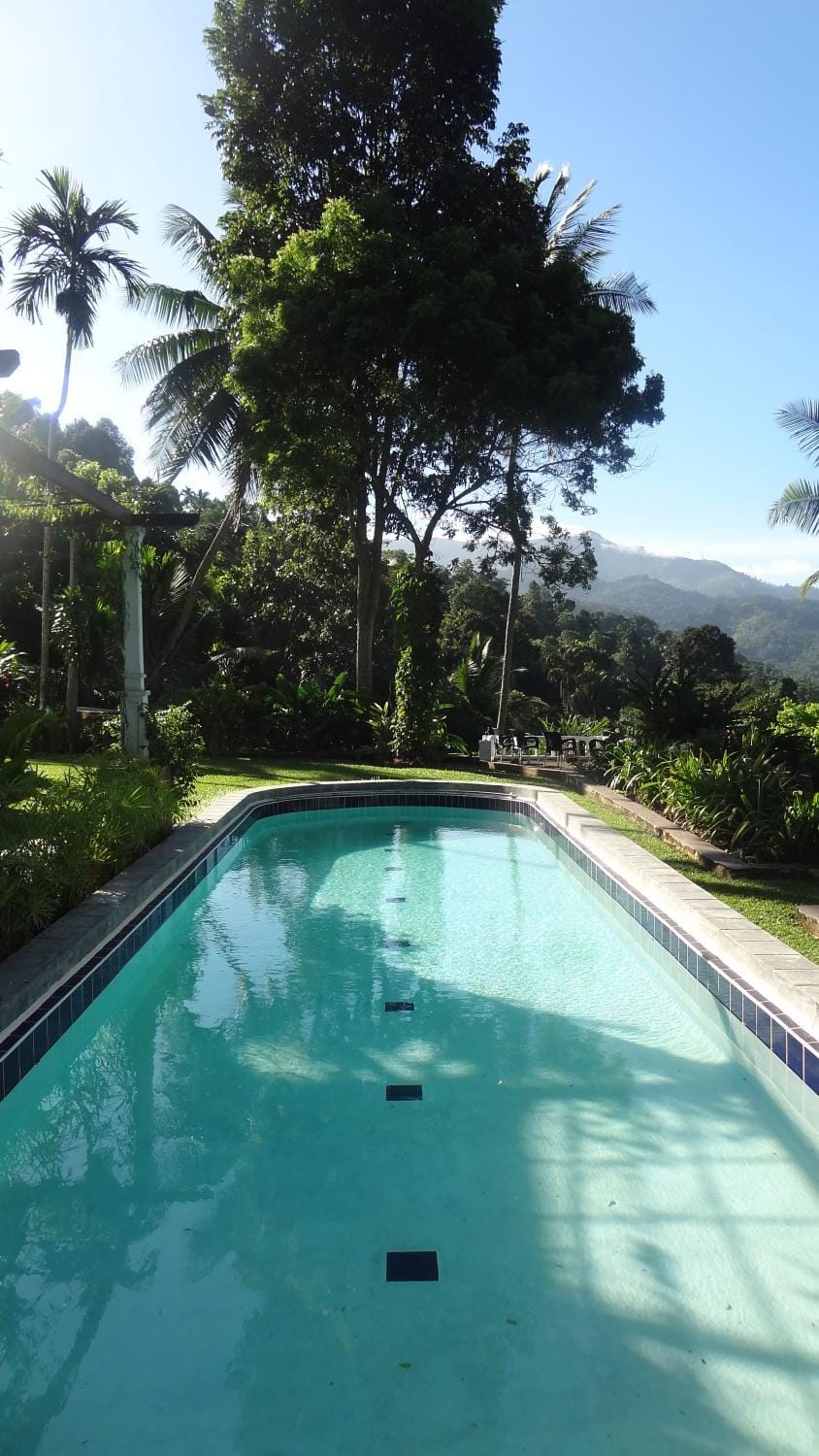 Pool view