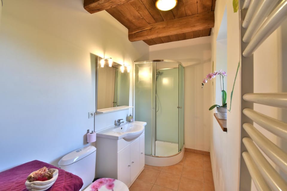 Shower, Toilet