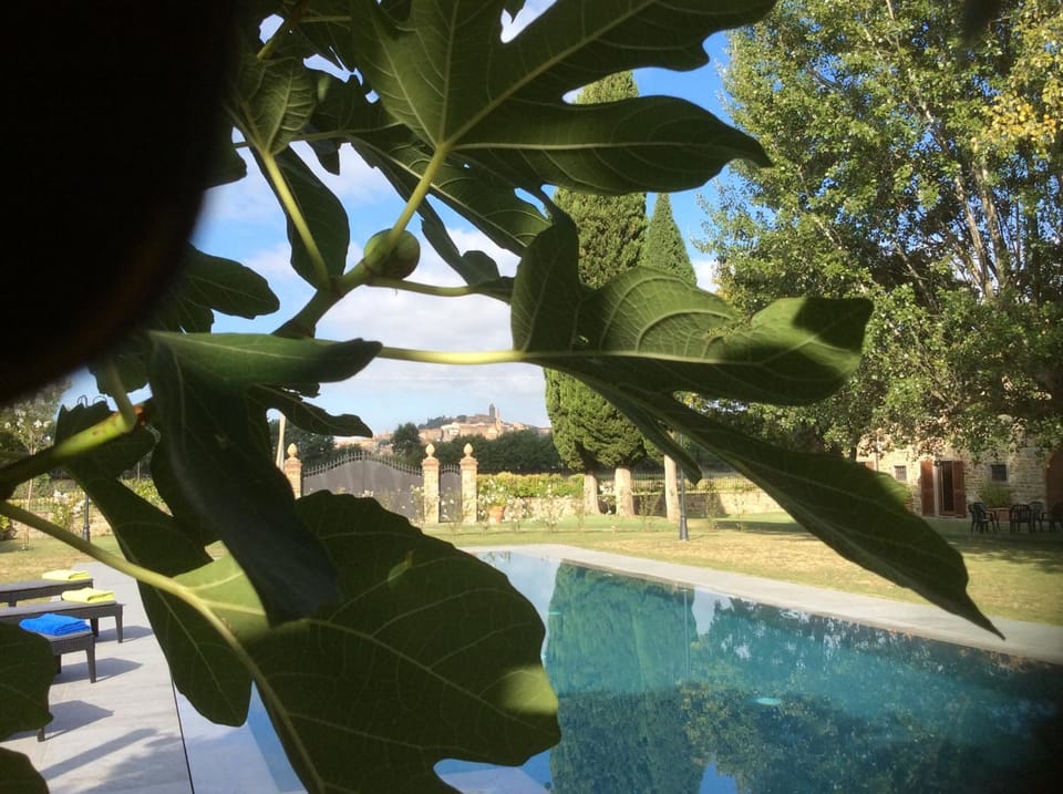 VILLA Podere IL GIARDINO House in Castiglion Fiorentino