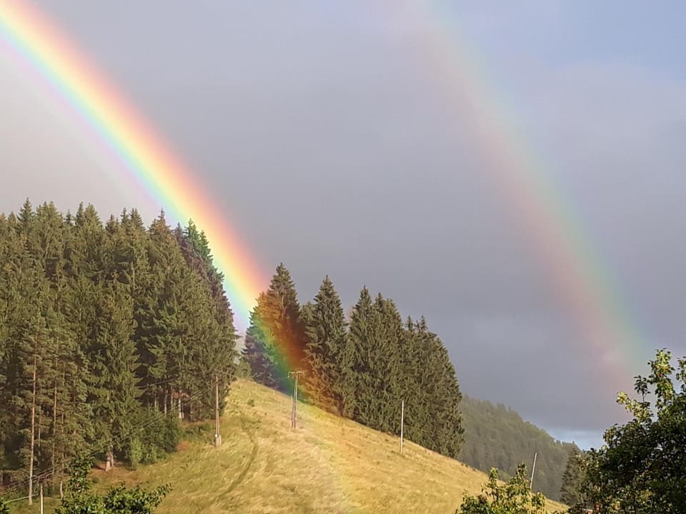 Natural landscape