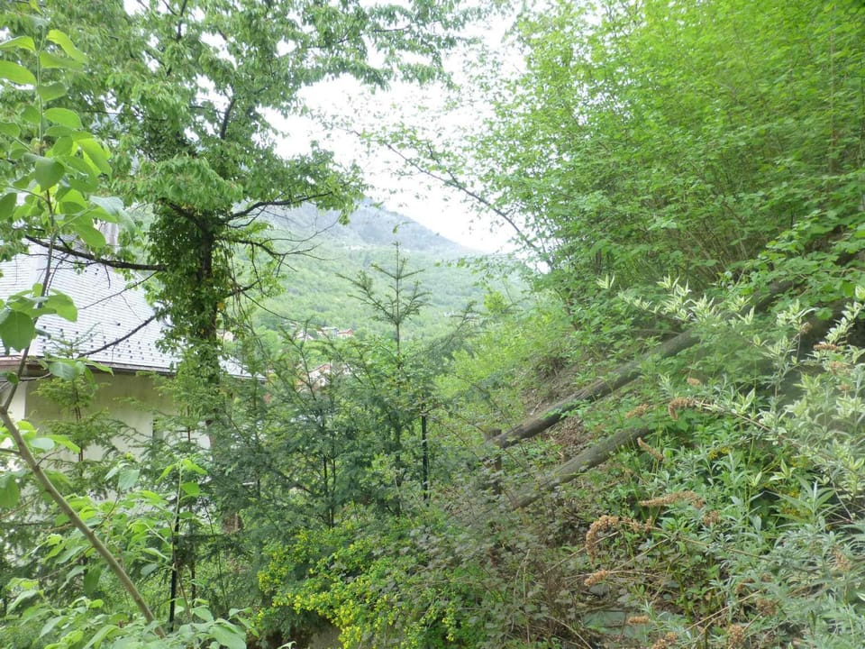 Studio avec WiFi et animaux admis près de la télécabine - FR-1-512-125 Cabin in Les Allues
