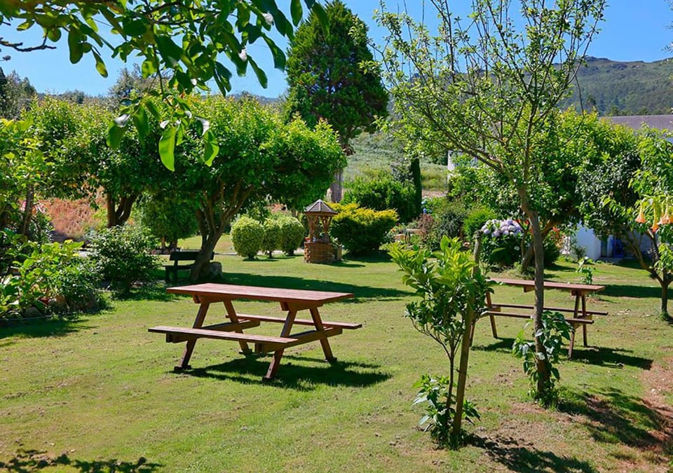 Natural landscape, Garden, Mountain view