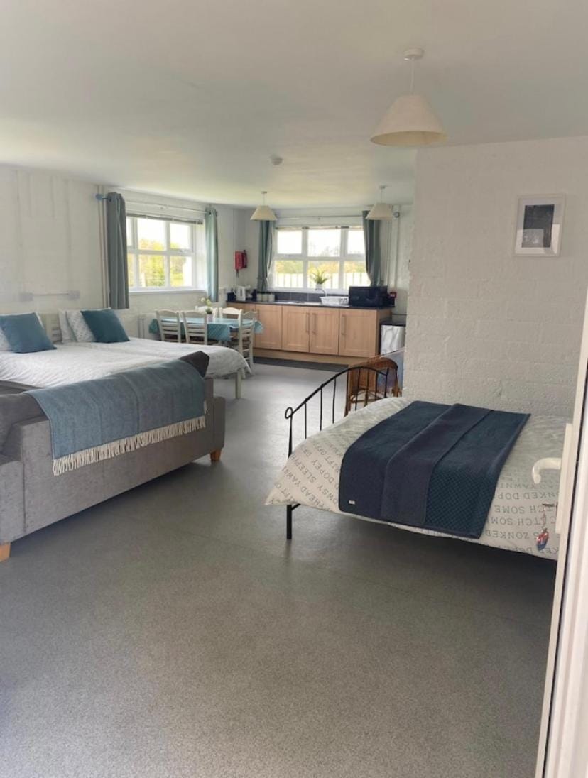 Mill House Studio Apartment Apartment in Northern Ireland