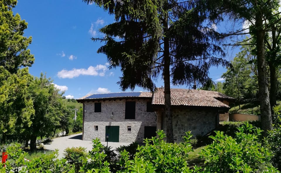 Property building, Garden, Garden, Garden view