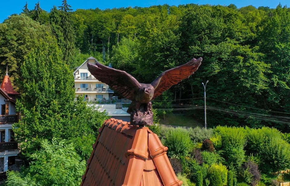 Vila Silvia Bed and Breakfast in Romania