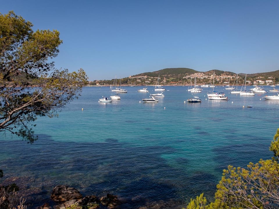 Studio Climatisé 2/3 Pers - Proche Plage et Commerces - Wifi Gratuit - FR-1-466A-18 Apartment in Saint-Raphael
