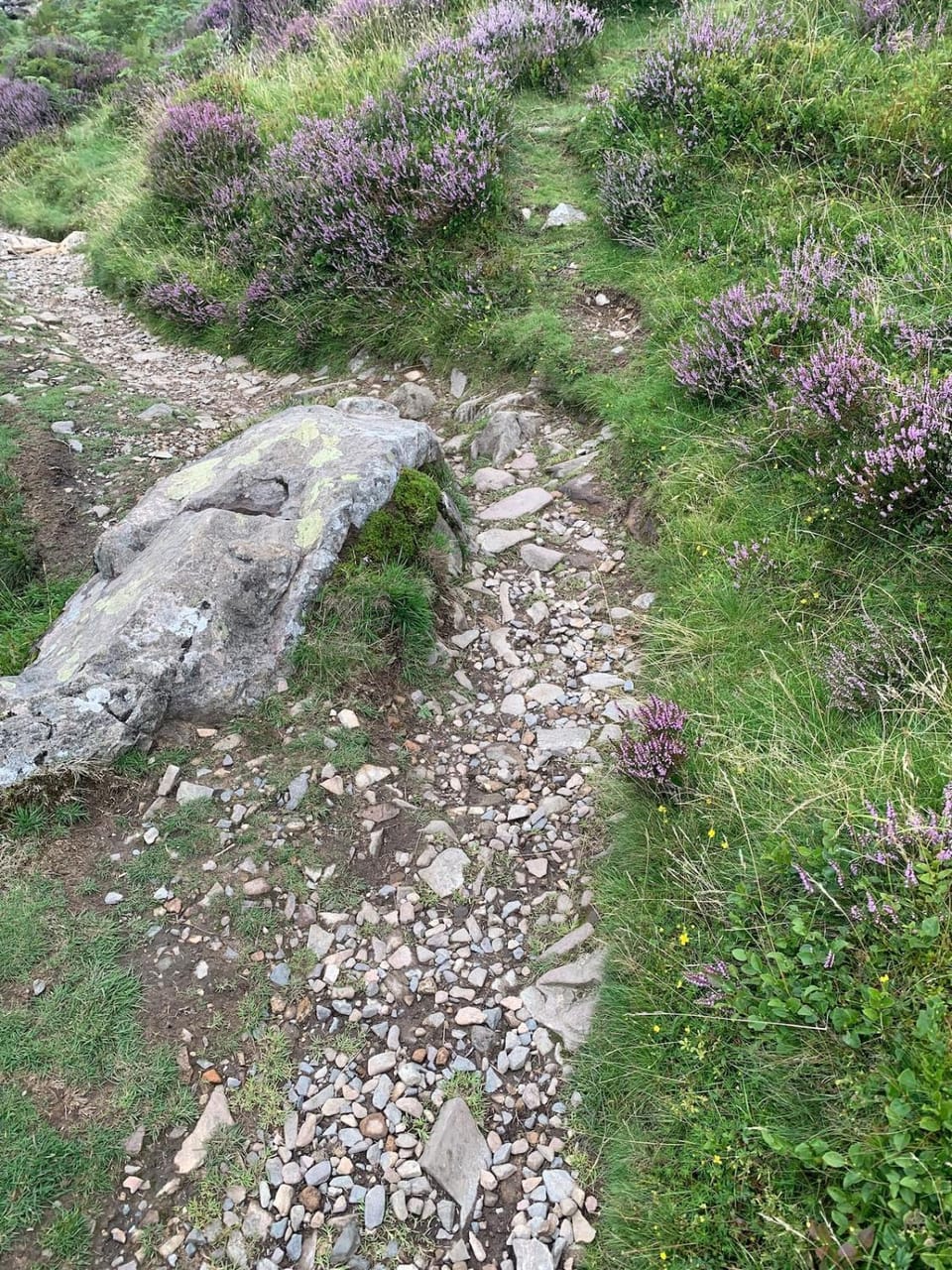 Natural landscape