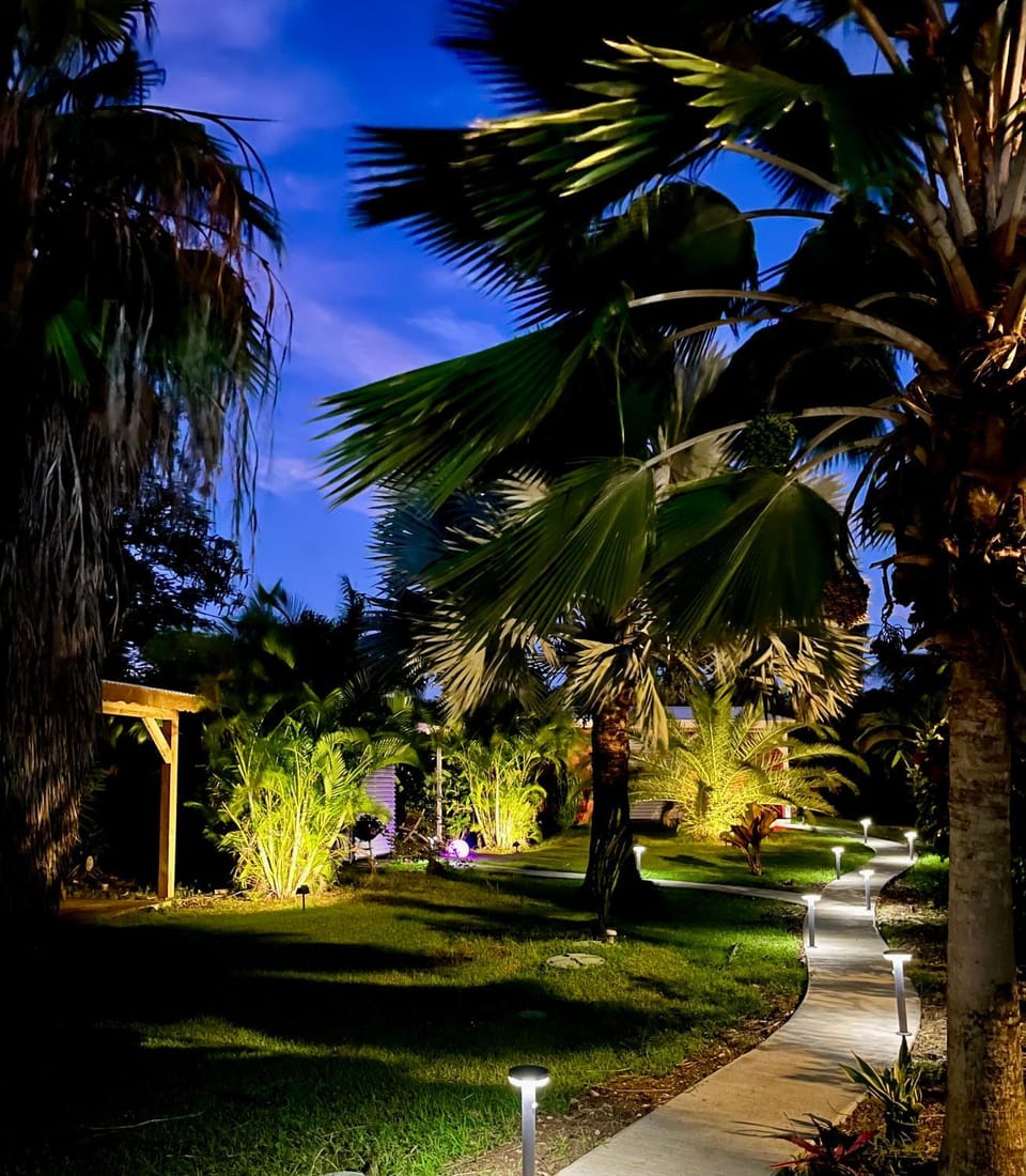 Night, Garden view