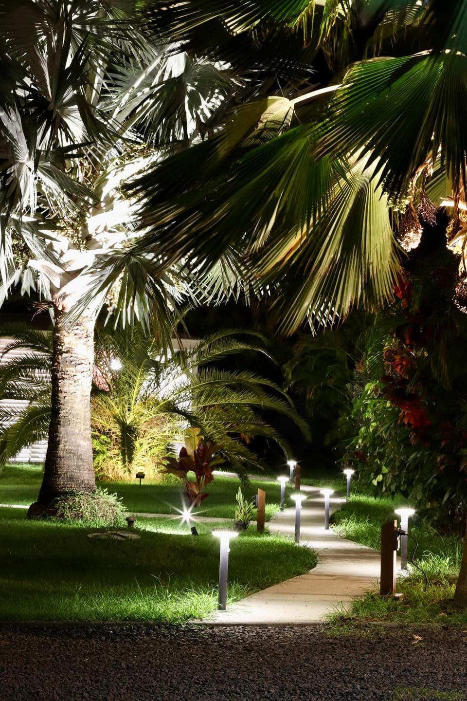 Night, Garden