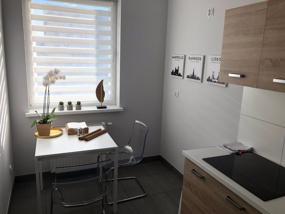 APARTAMENT ŚMIAŁEGO 9 Apartment in Lower Silesian Voivodeship