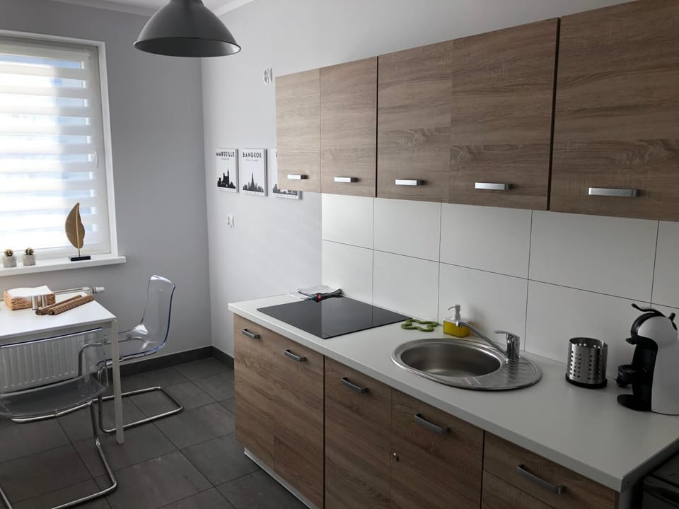 APARTAMENT ŚMIAŁEGO 9 Apartment in Lower Silesian Voivodeship