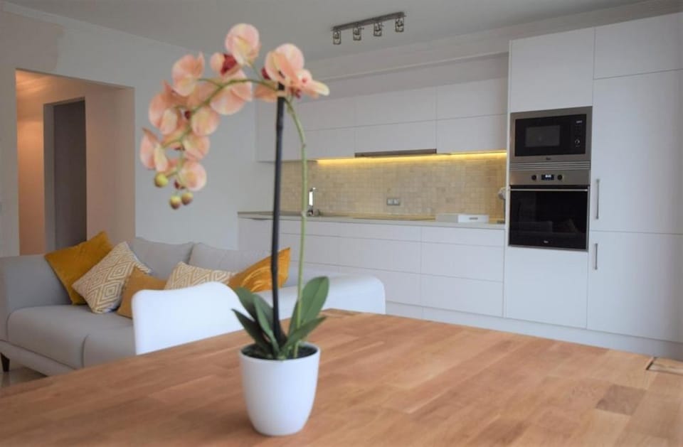 Kitchen or kitchenette, Living room, Dining area