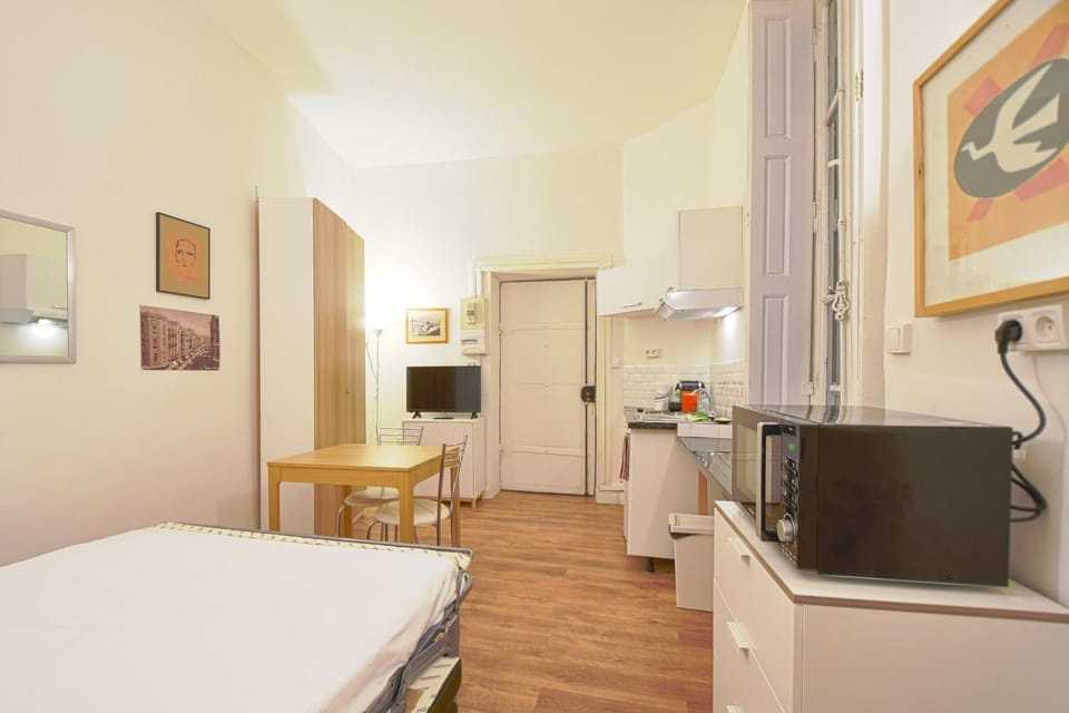 Quiet Studio In The Center Of Lyon Apartment in Lyon