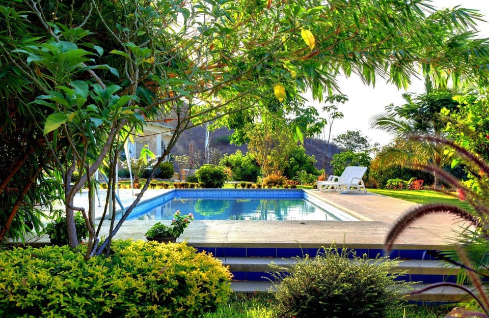 Property building, Patio, Day, Garden, Garden view, Pool view