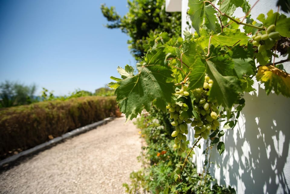 Villa Anneta Bed and Breakfast in Corfu, Greece