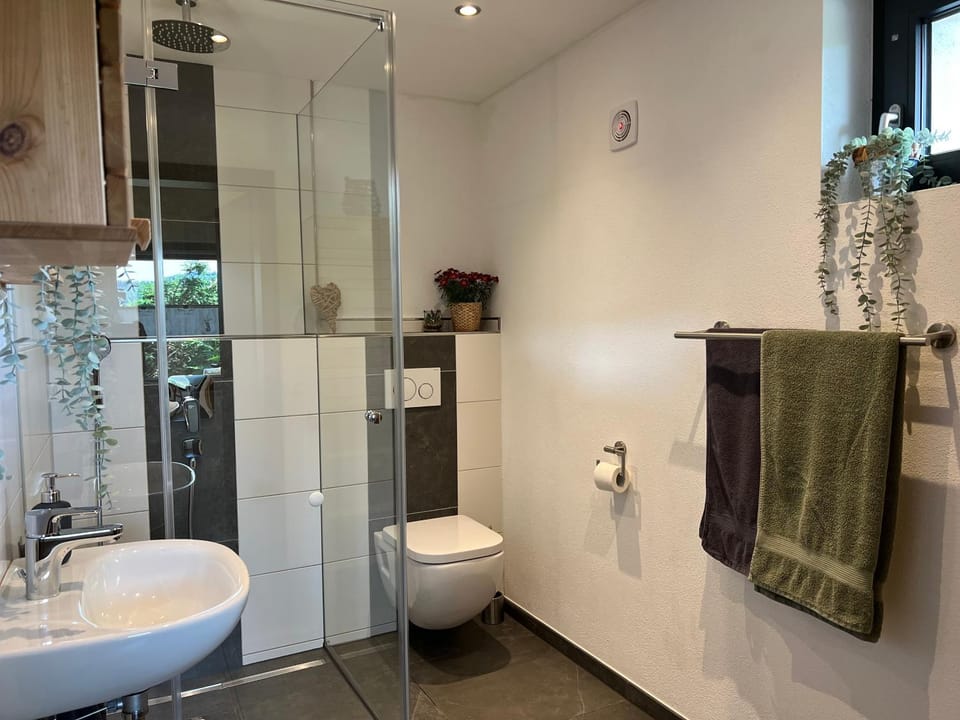 Shower, Toilet, Bathroom, towels