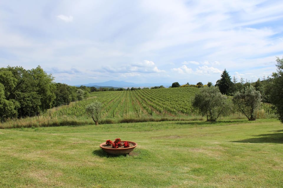 Natural landscape, Garden