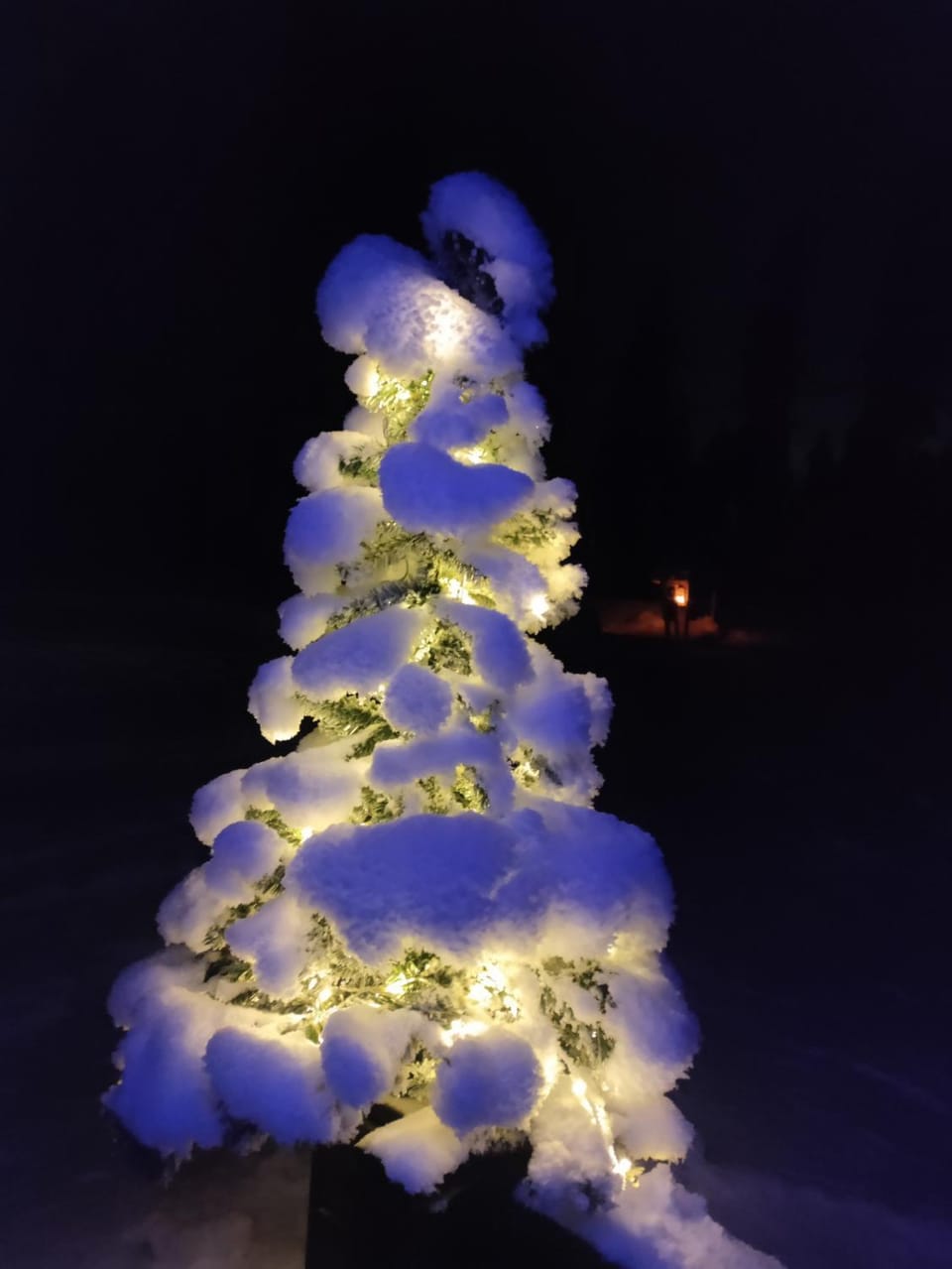 Villa Bear's Villa in Rovaniemi