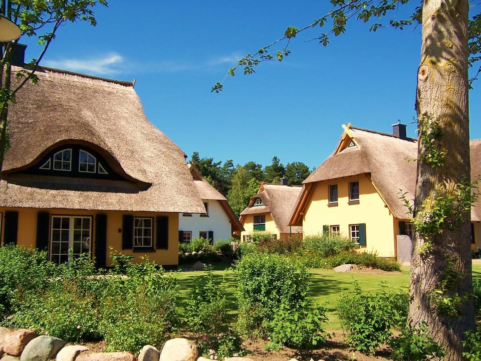 Property building, Garden