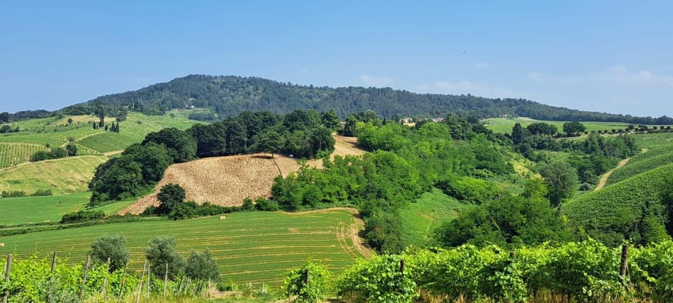 Il Biancospino Farm Stay in Lombardy