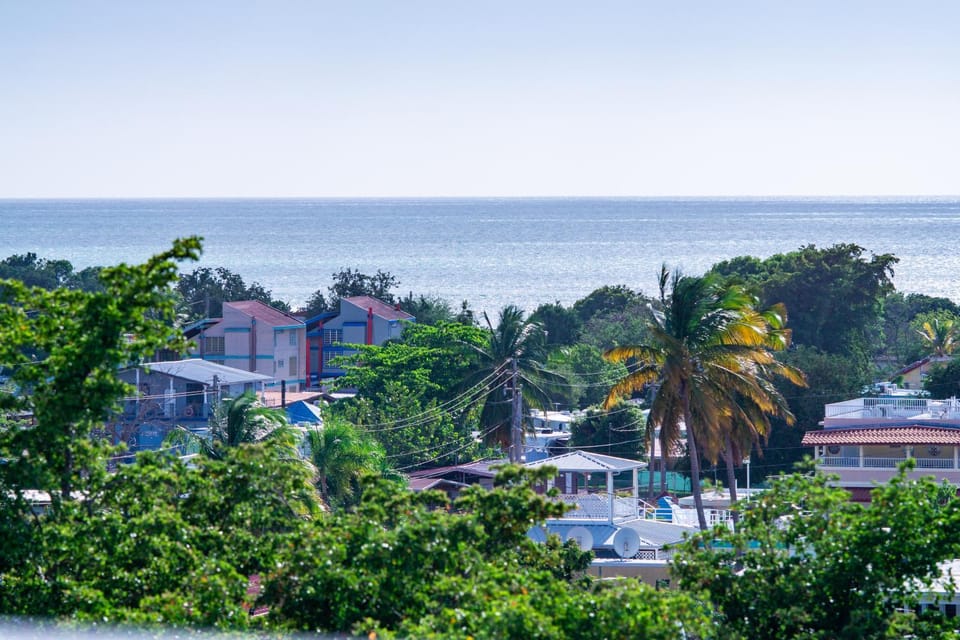 Neighbourhood, Sea view, Location
