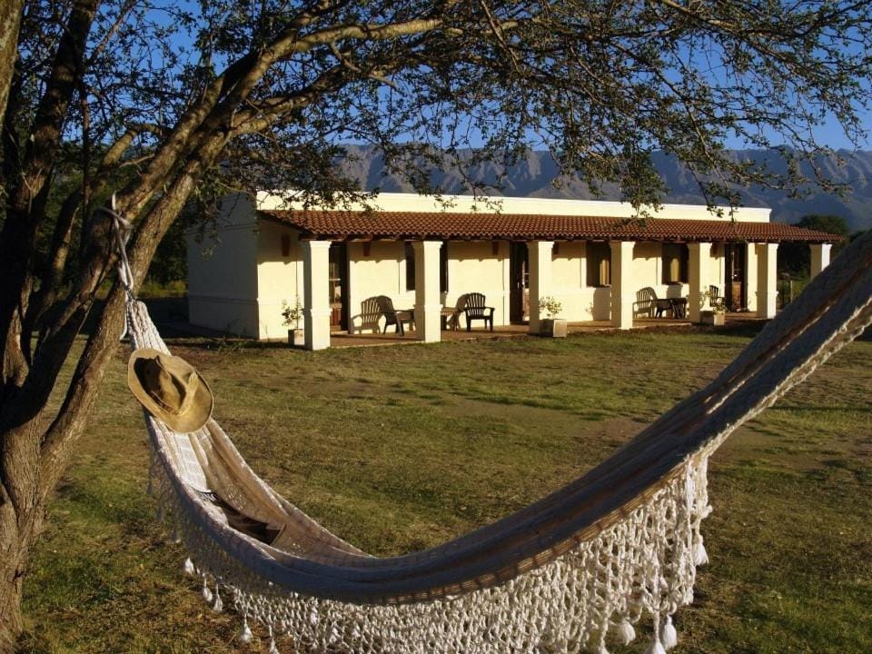 Property building, Day, Garden, Area and facilities