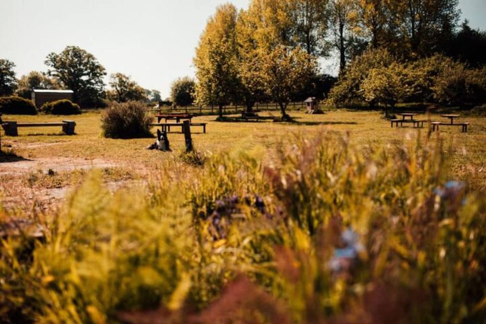 Gaggle of Geese Pub - Shepherd Huts & Bell Tents Country House in North Dorset District