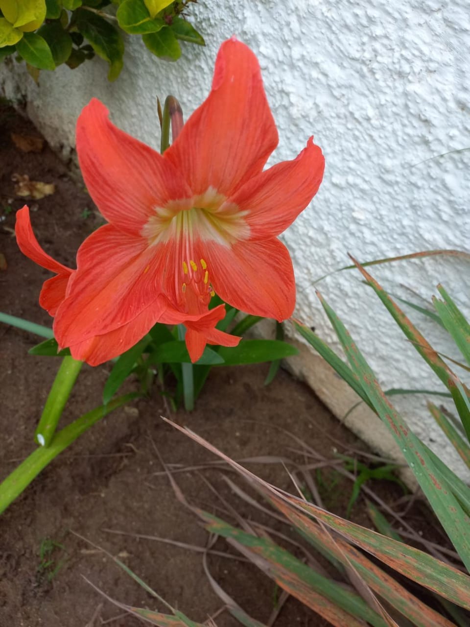 Itaúna saquarema beach house House in Saquarema