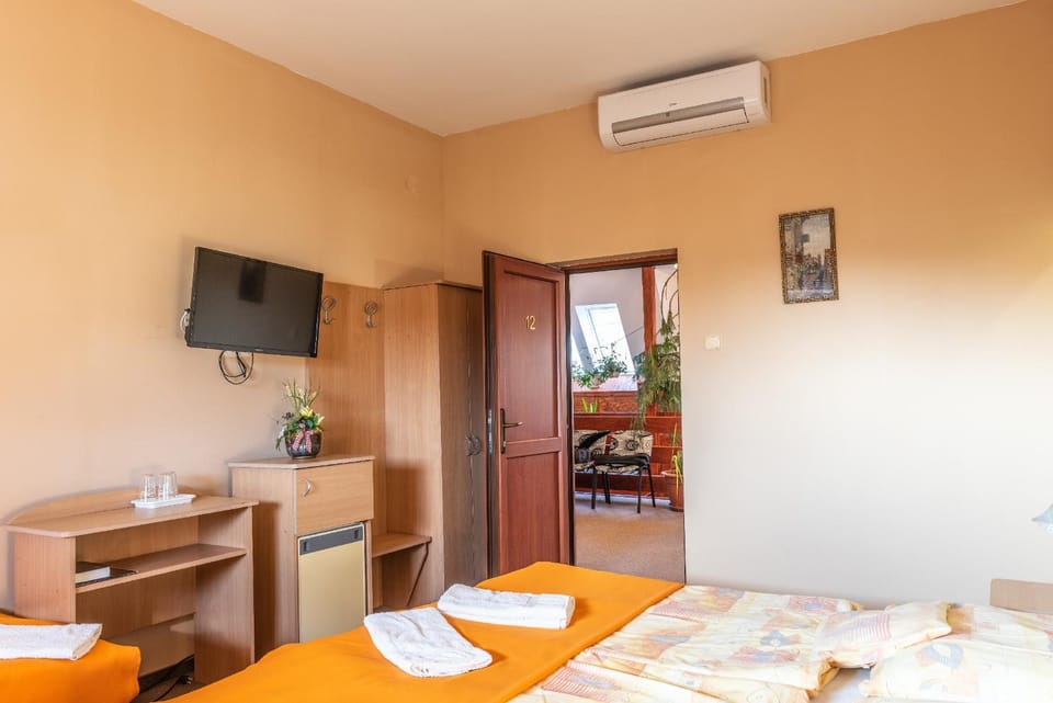Shower, Toilet, TV and multimedia, Other, Photo of the whole room, Bedroom, air conditioner