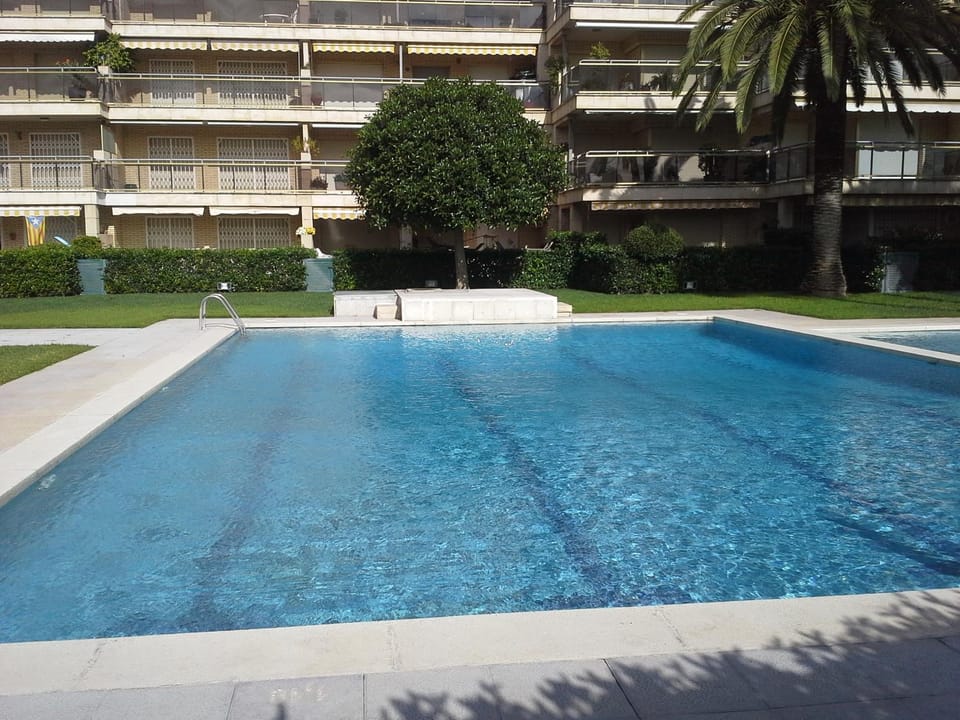 Swimming pool, Swimming pool