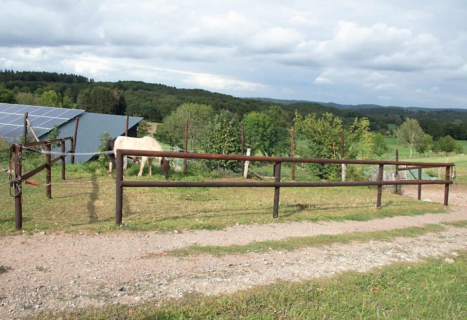 Activities, Animals, Area and facilities