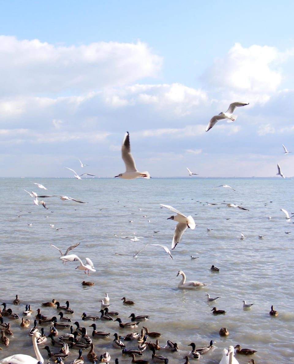 Nearby landmark, Beach, Entertainment