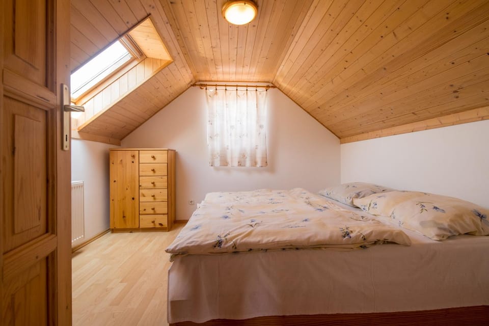 Ancsa Vendégház Apartment in Slovakia