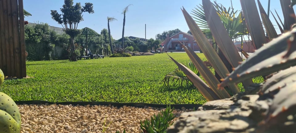 Day, Garden, Garden view