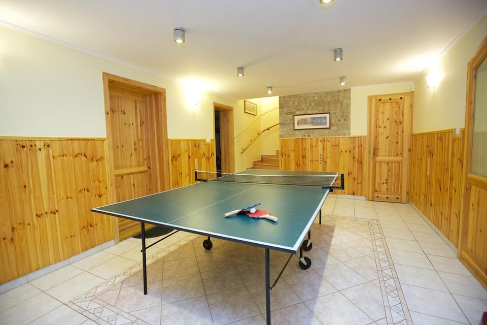 Table tennis, Area and facilities