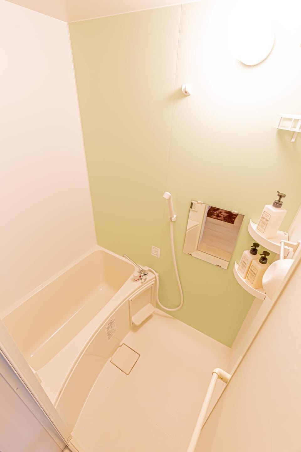 電車で秋葉原駅11分 東京駅18分 平井駅徒歩8分 Apartment in Japan