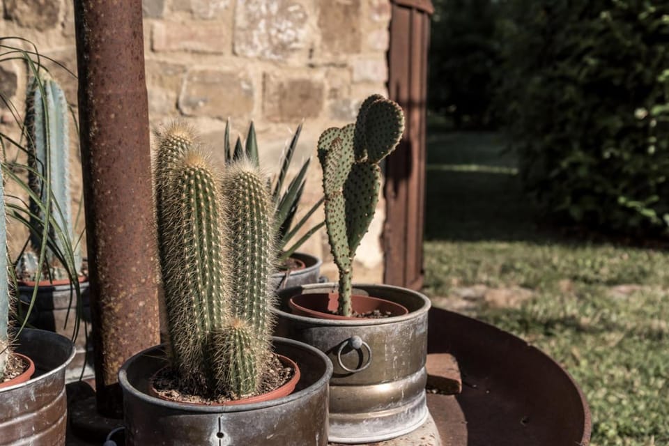 Garden, Decorative detail