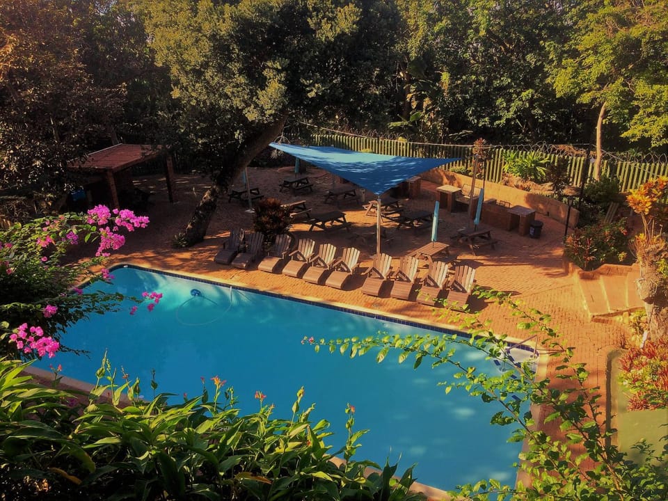 Swimming pool, Swimming pool