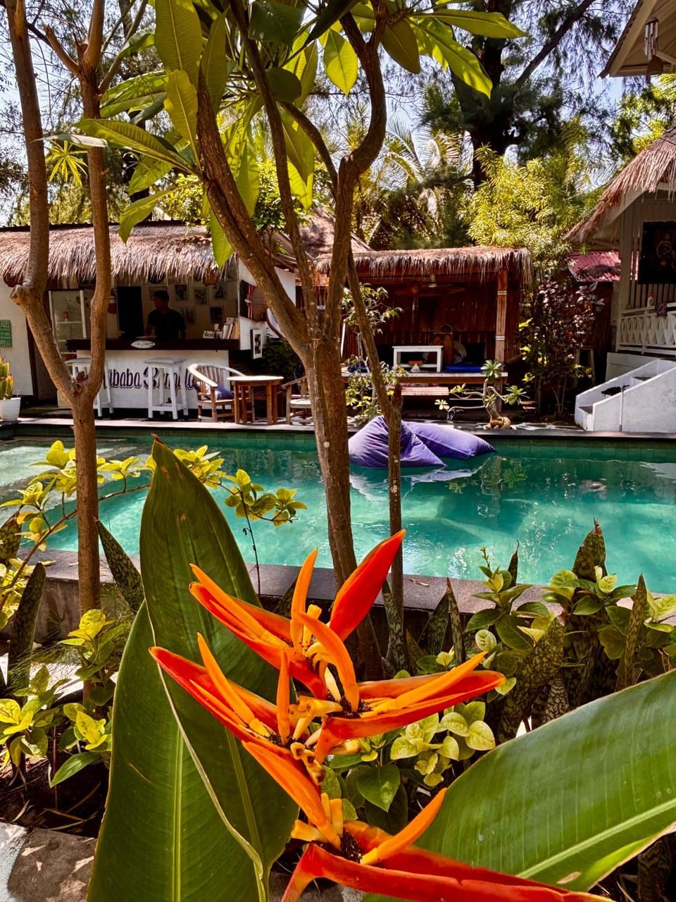 Swimming pool