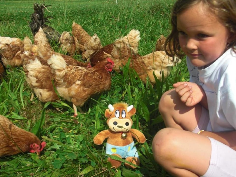 People, Animals, children